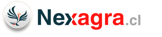 333666999-Nexagra.cl