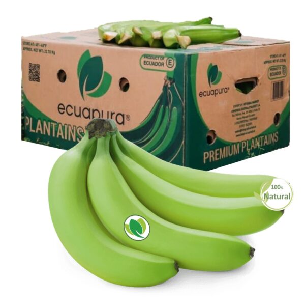 Platano.barraganete-nexagra-01