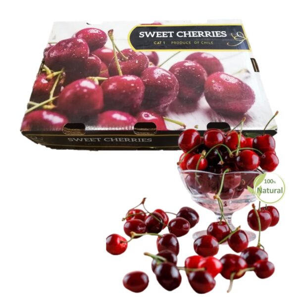 Chilean-Cherries-nexagra-zaino-04