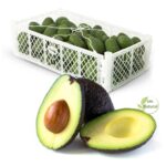 Hass avocado CAT1 box 10Kg Zaino