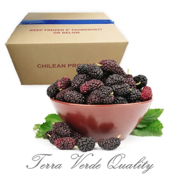 Frozen blackberries-terraverde-nexagra-2025