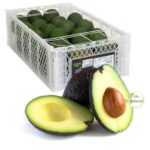 Hass avocado CAT1 box 10Kg
