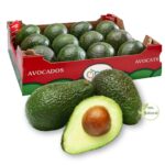 Hass avocado PREMIUM box 10kg
