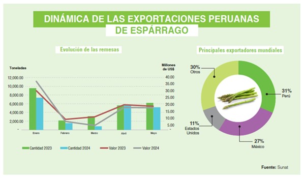 Dinamica de exportaciones peruanas de esparragos 2024